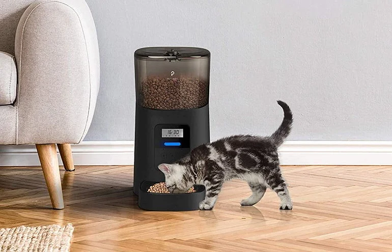 Other Recommended Automatic Cat Feeders