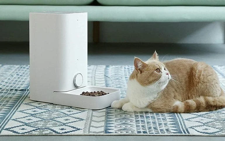 How To Buy The Best Automatic Cat Feeders