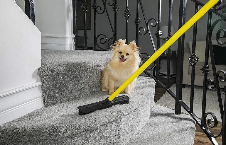Other Recommended Brooms for Dog Hairs