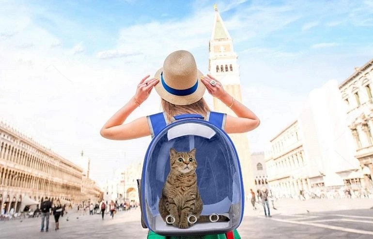 Other Recommended Cat Backpacks
