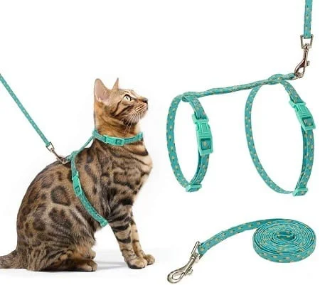 Scirokko Cat Harness