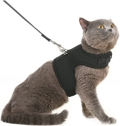 Pupteck Cat Harness