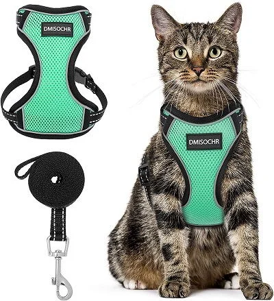 DMISOCHR Cat Harness