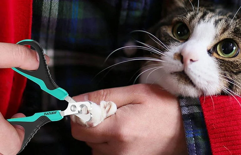 How To Buy The Best Cat Nail Clippers