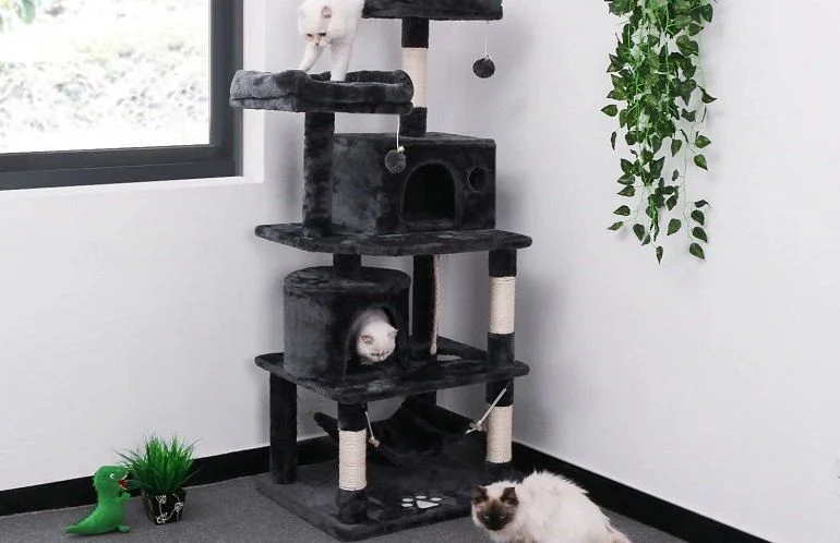 How To Buy The Best Cat Trees For Large Cats