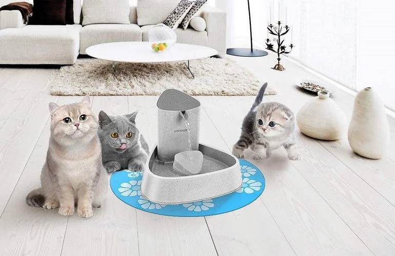 Other Recommended Cat Water Fountains