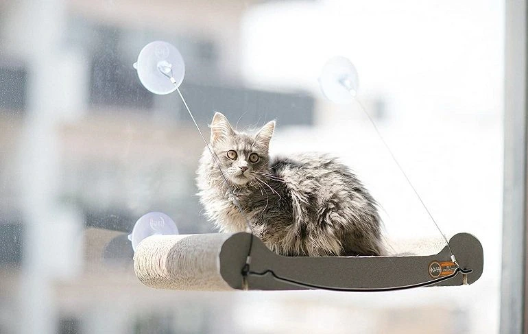 How To Buy The Best Cat Window Perches