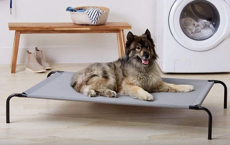 How To Buy The Best Chew Proof Dog Beds
