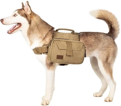 OneTigris Dog Pack