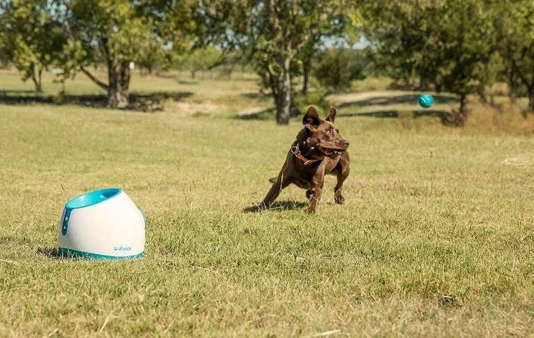 Other Recommended Dog Ball Launchers