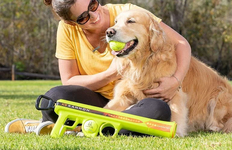 How To Buy The Best Dog Ball Launchers
