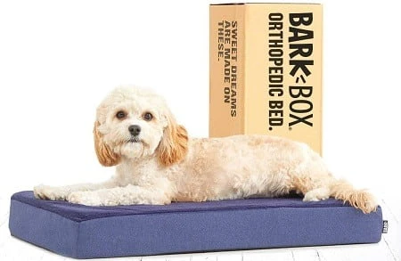 Barkbox Platform Dog Bed