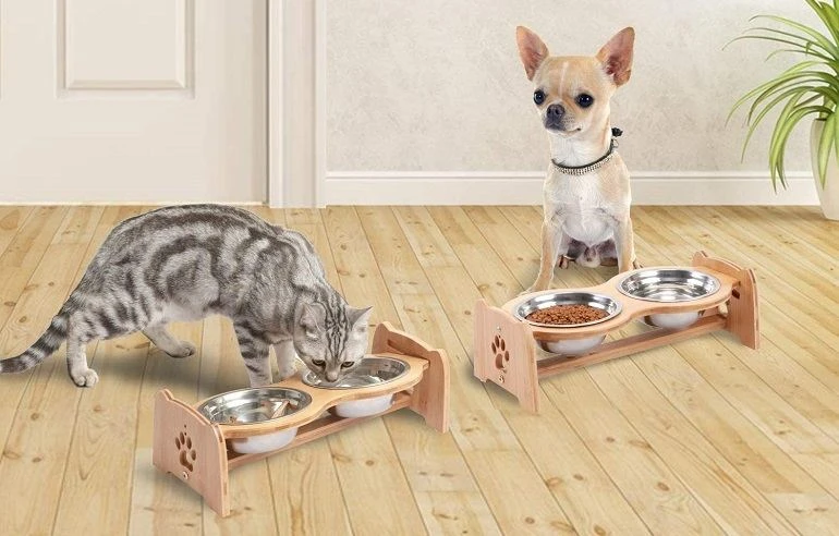 Different Types Of Dog Bowls
