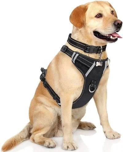 Winsee Dog Harness