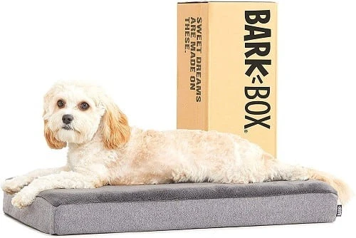 Barkbox Memory Bed