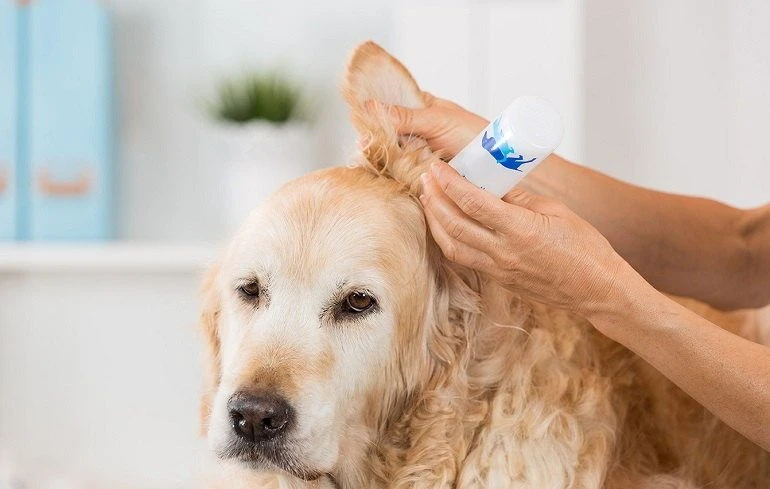 Other Recommended Dog Ear Cleaners