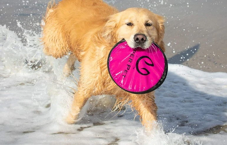 Other Recommended Dog Frisbees