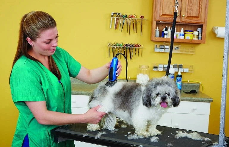 Other Recommended Dog Grooming Clippers