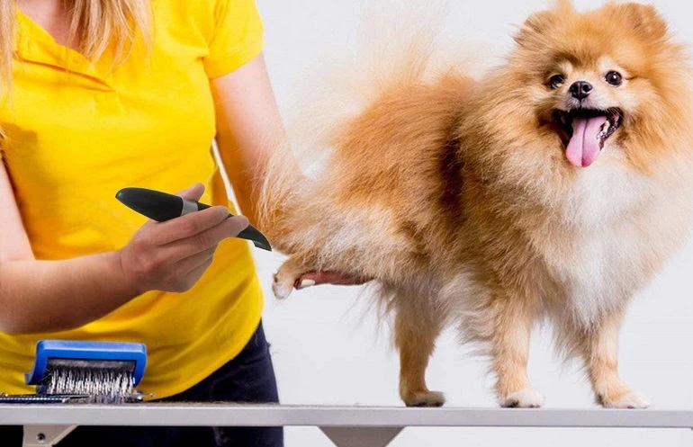How To Buy The Best Dog Grooming Clippers