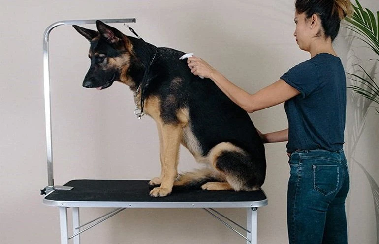 How To Buy The Best Dog Grooming Tables