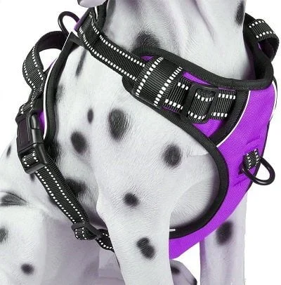 PoyPet Dog Harness