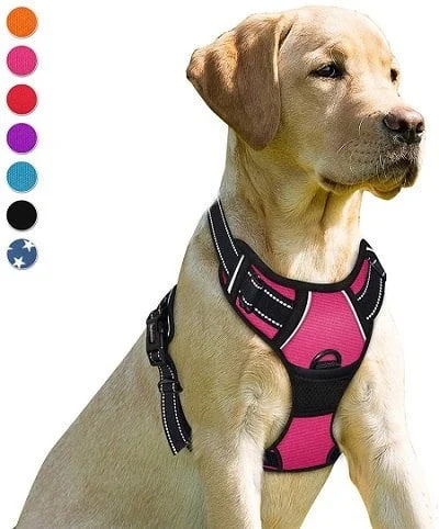 Barkbay Dog Harness