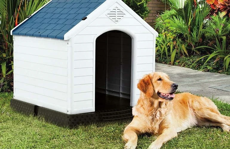 How To Buy The Best Dog Houses For Winter
