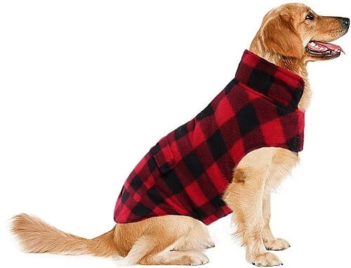 Asenku Dog Coat