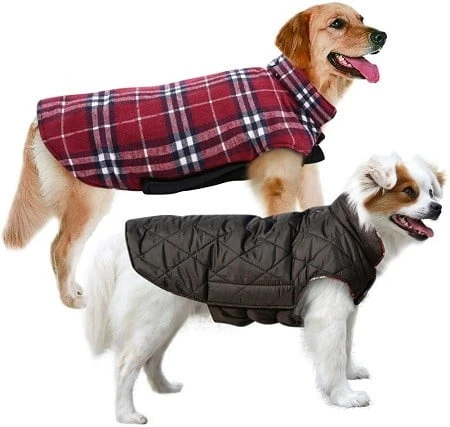 Migohi Dog Vest