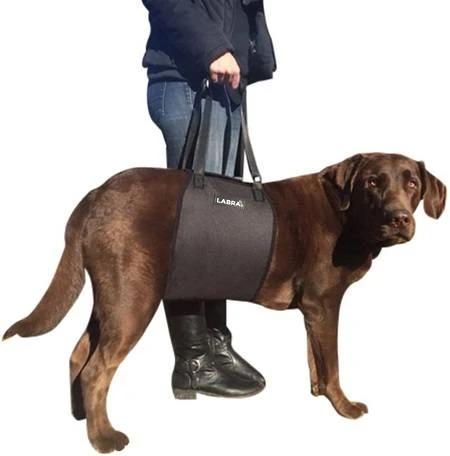 Labra Dog Sling Lift