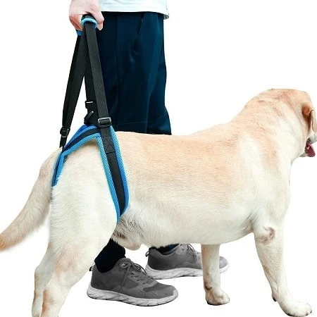 Coppthinktu Dog Harness