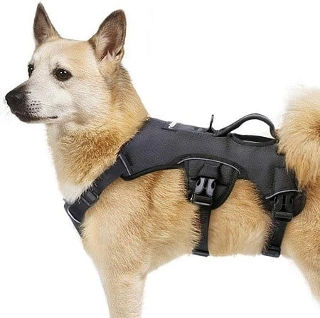 Rabbitgoo Dog Harness