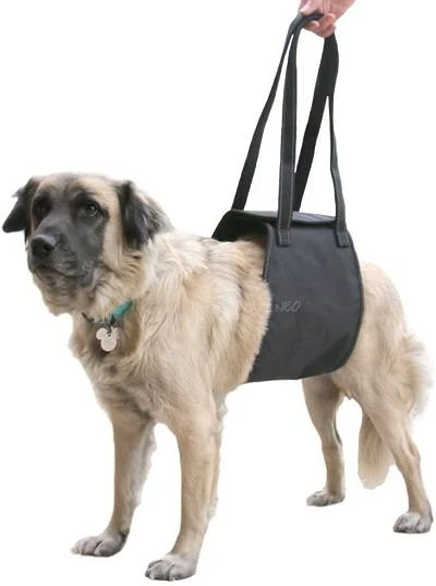 Max And Neo Dog Lift Harness