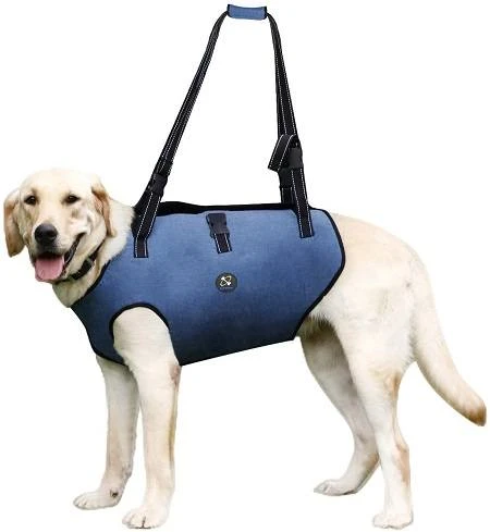 Coodeo Dog Lift Harness