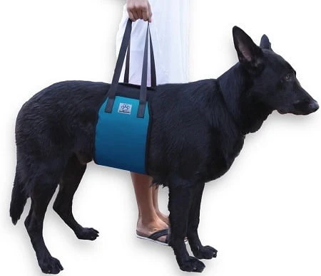 Love Pets Love Dog Lift Harness