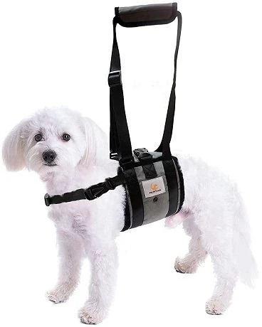 Pet Friendz Dog Harness