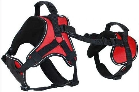 Doggie Stylz Dog Harness