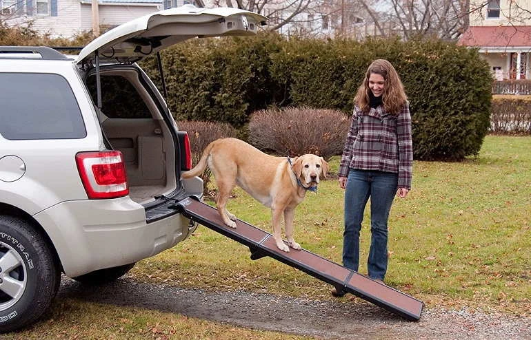 Other Recommended Dog Ramps