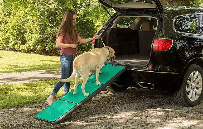 Safety Tips When Using A Dog Ramp