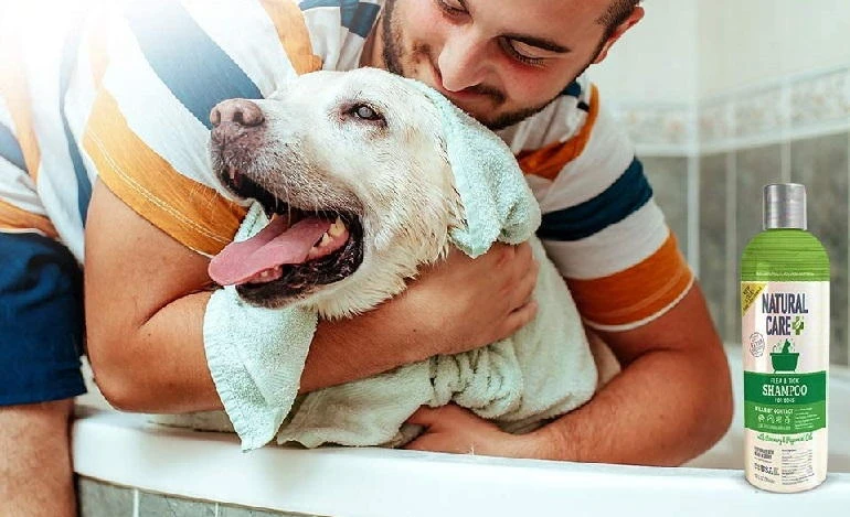 Other Recommended Dog Shampoos for Lice