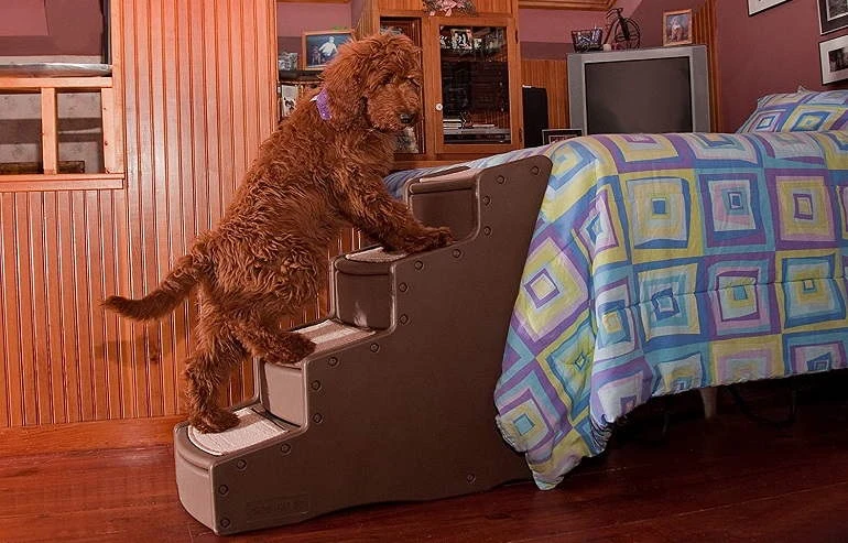 The 15 Best Dog Stairs of 2022