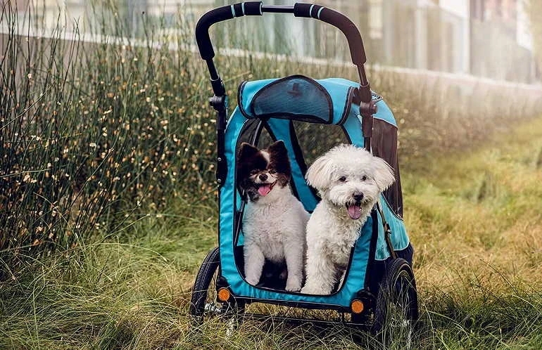 How To Buy The Best Dog Strollers