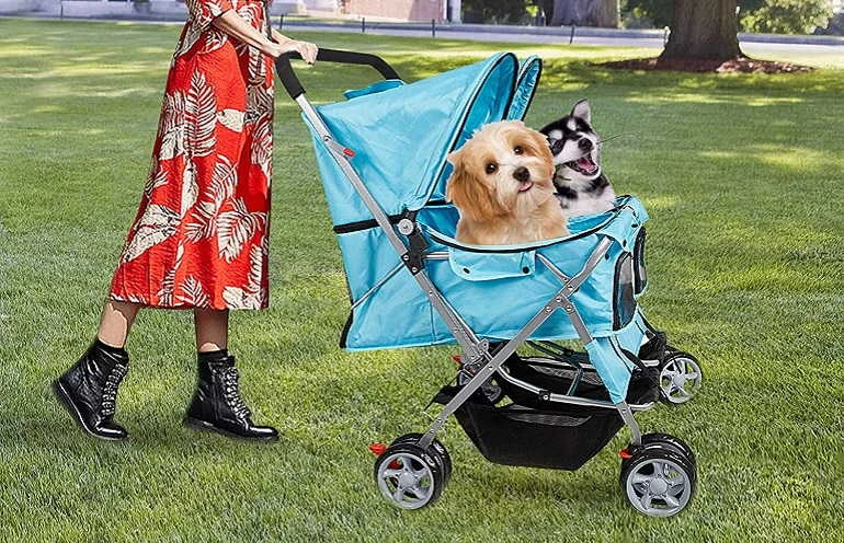 How Can I Get My Dog To Use Their Dog Stroller