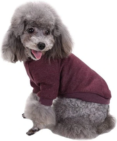 Fashion Focus On Pet Dog Clothes