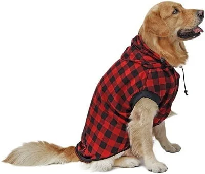 Pawz Road Dog Coat