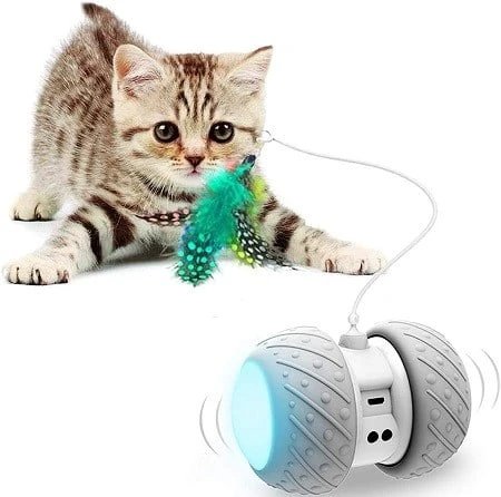 Ralthy Interactive Robotic Cat Toys