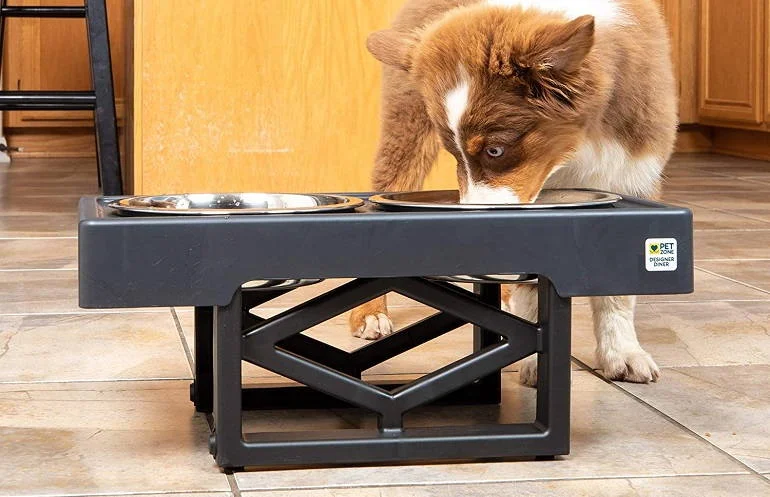 Other Recommended Elevated Dog Bowls