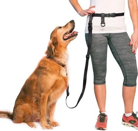 The Buddy System Dog Leash