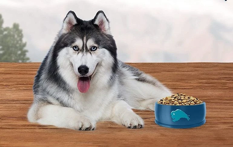 How To Buy The Best High Fiber Dog Foods