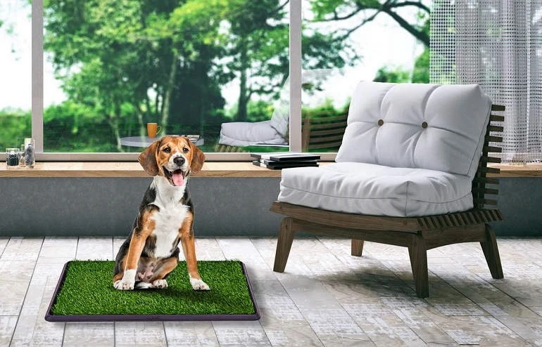 How To Buy The Best Indoor Dog Potty Systems